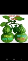 Xưởng giả rẻ hóc môn cần cho thuê 