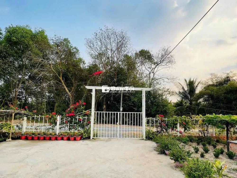 nhà vườn thái mỹ