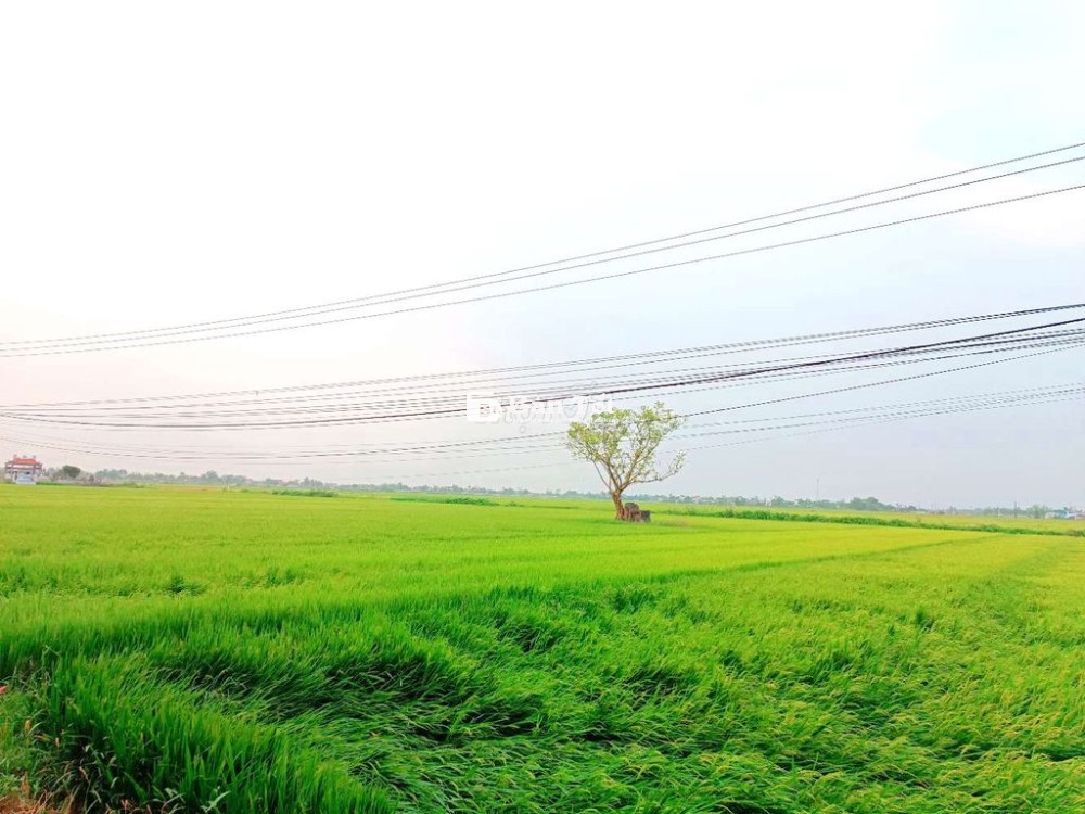 Lô Đất Đẹp Vuông Vức - 100m2 Ngang Hơn 6m - Dương Nổ - Nhỉnh 1 tỷ
