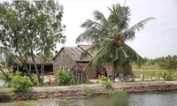Thái