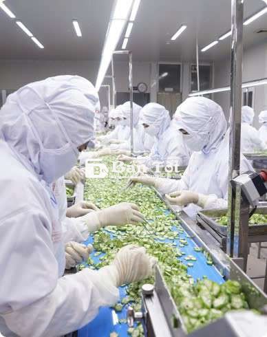 Tuyển Lao Động Đóng Gói Ca Đêm