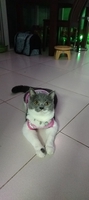 Hamy TranThi