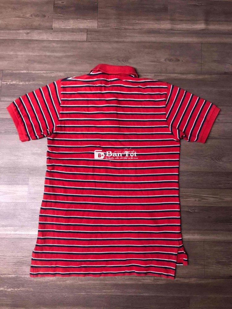 PoLo ngựa 50-65kg