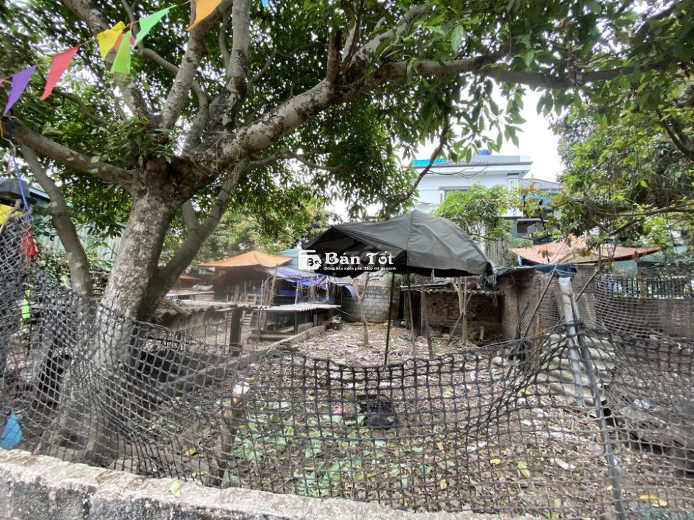 chính chủ bán đất xã Phụng Châu, Chương Mỹ