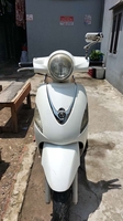 Phạm Lý Minh Trí