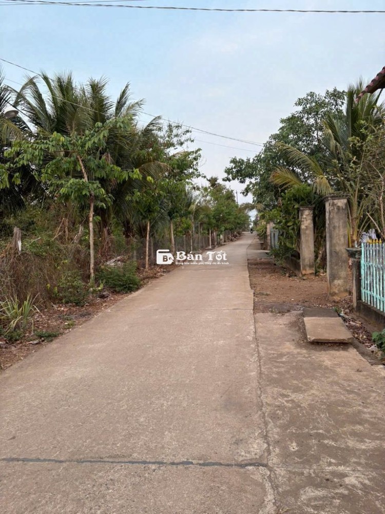 Gia đình có lô đất thôn 1B xã EaMnang Huyện CưmGar ĐakLak