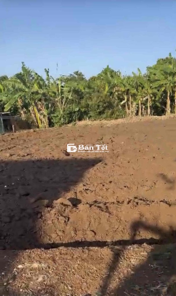 Đất thổ cư. Ngay UB Xã Cẩm Đường, cách cổng B SBay 1,5km