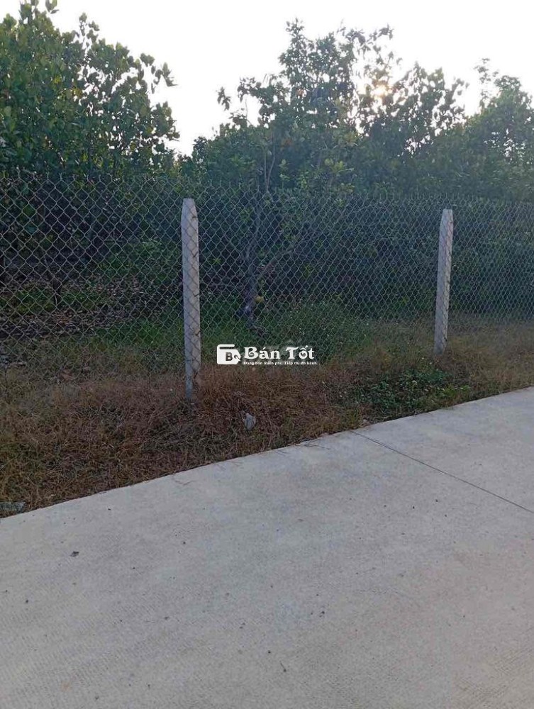 Bán đất sào Đồng Nai giá ngộp