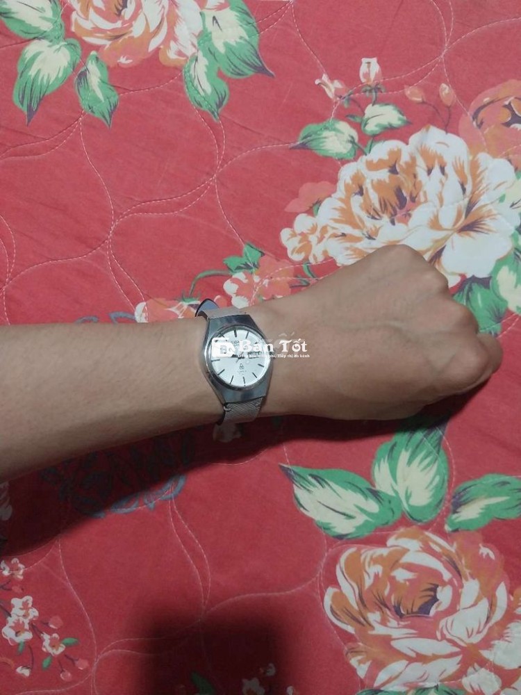 ## Seiko Type II - Đồng Hồ Cổ Điển Hoạt Động Hoàn Hảo