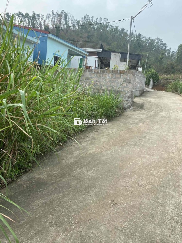 CẦN BÁN ĐẤT