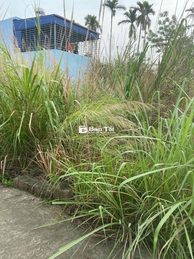 CẦN BÁN ĐẤT