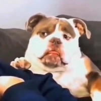 Đông