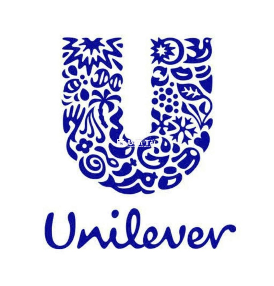 SALE THỊ TRƯỜNG UNILEVER BÌNH GIANG HẢI DƯƠNG