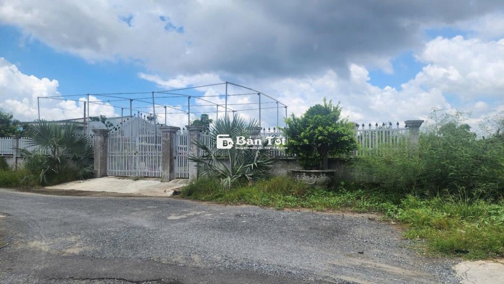 Bán đất 1002.6m², thổ cư 100% tại Xã An Thới Đông Huyện Cần Giờ