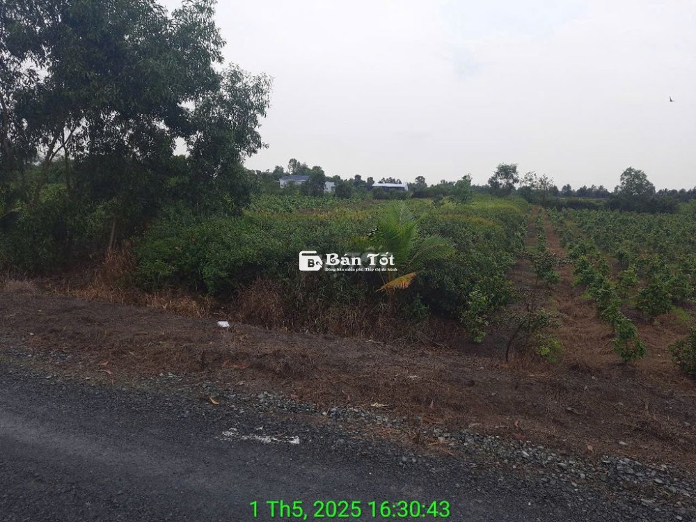 Bán đất vườn 1200m2 mặt tiền kênh 8m
