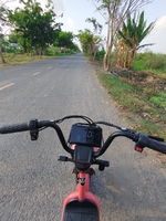 ngu