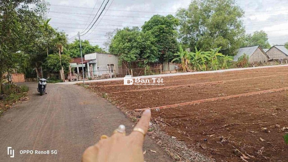 Đất sổ hồng riêng 110m2 giá cực rẻ tại Trảng Bom