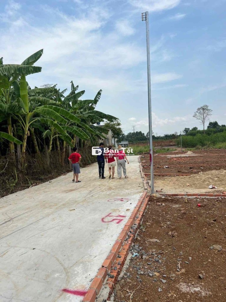 Đất sổ hồng riêng 110m2 giá cực rẻ tại Trảng Bom