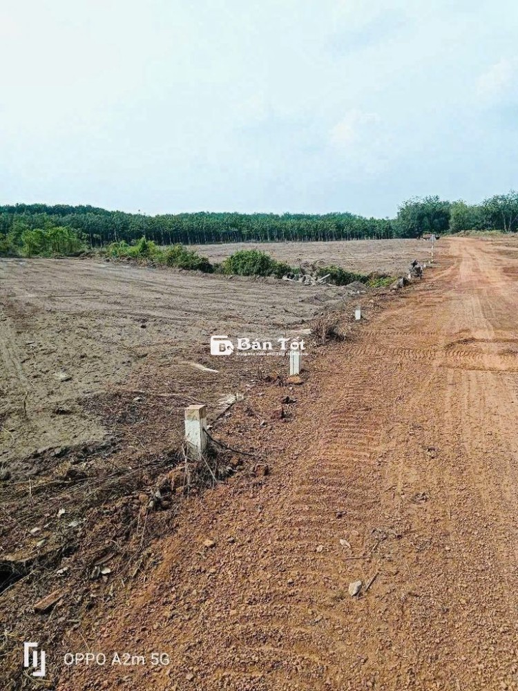1000m ngang 23m SHR gần trường học dân đông