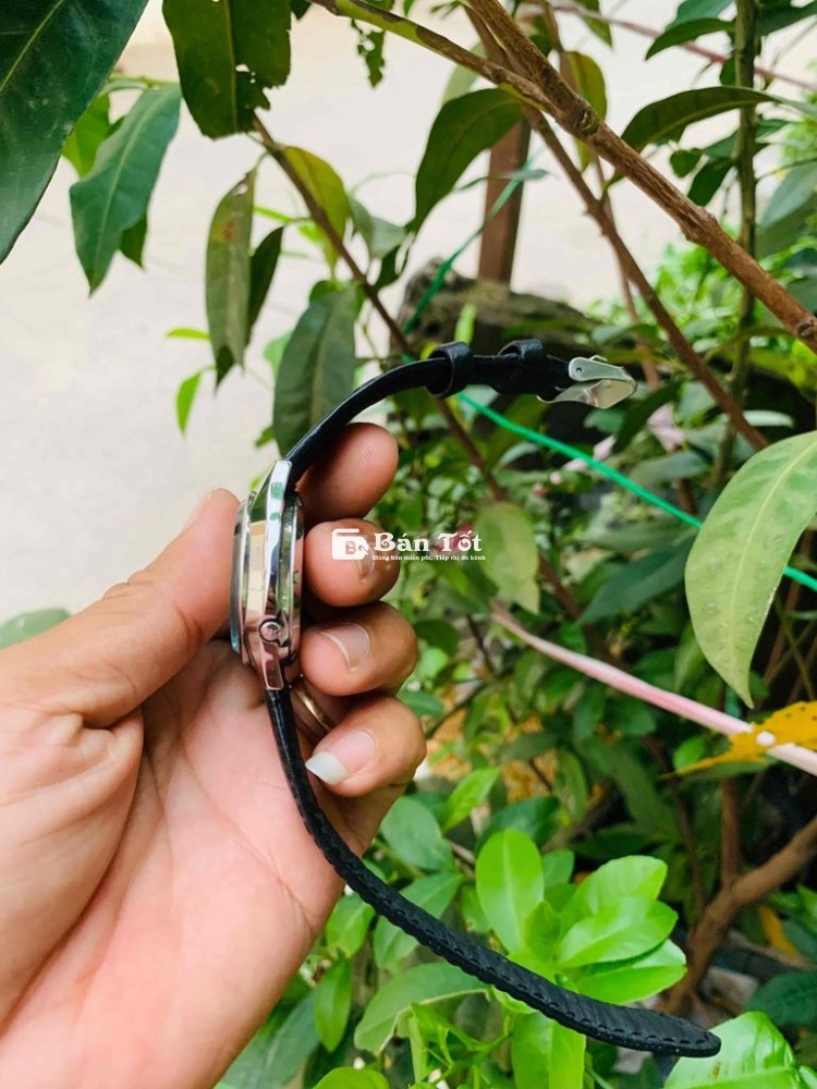 Citizen Nhật pin lai cơ