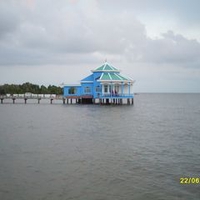 NGUYỄN NẮNG