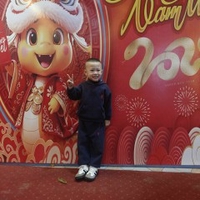 N V Linh