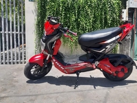 Hiếu xe điện