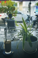 Thắng Trần