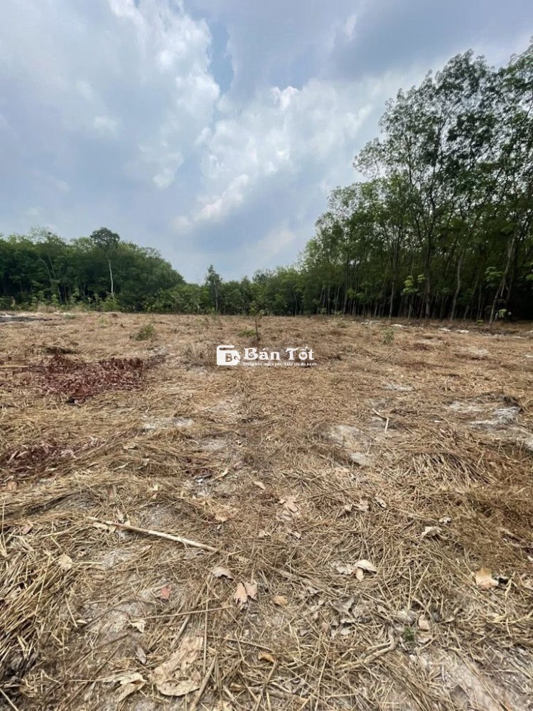 BÁN ĐẤT 2 MẶT TIỀN ĐƯỜNG – BÌNH MỸ BẮC TÂN UYÊN – SÁT ĐƯỜNG ĐT 742