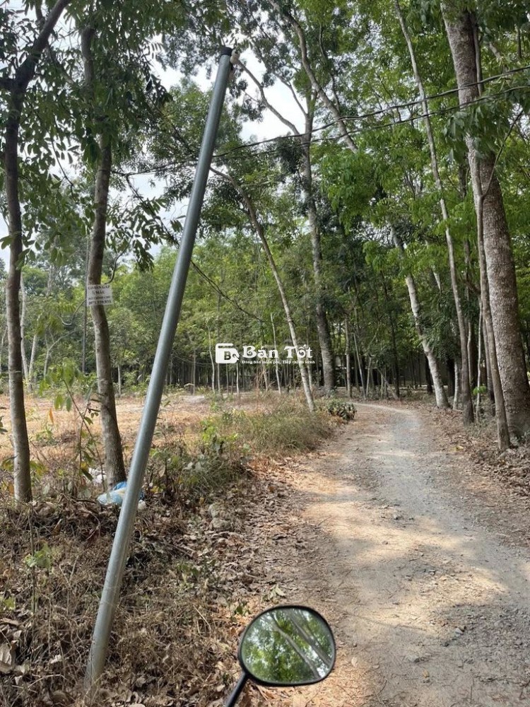 BÁN ĐẤT 2 MẶT TIỀN ĐƯỜNG – BÌNH MỸ BẮC TÂN UYÊN – SÁT ĐƯỜNG ĐT 742
