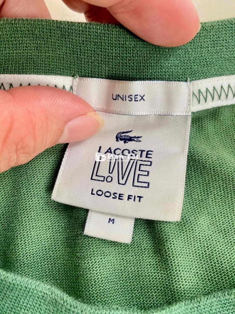 áo thun Lacoste Chính Hãng bản giới hạn Heritage