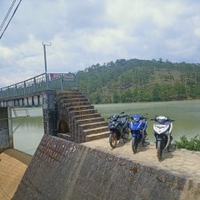 M Cường