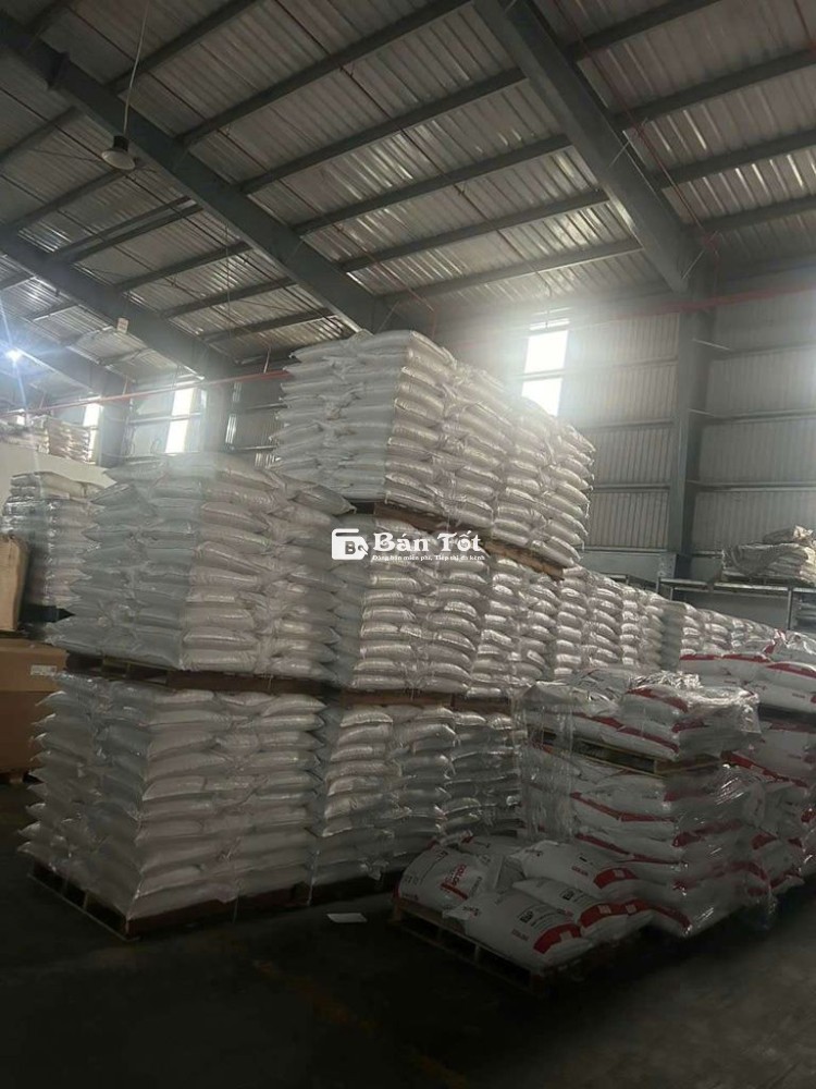 TUYỂN BỐC XẾP