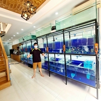 Nguyễn Trần Tiến Đạt