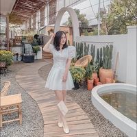 Tường Vi Hồng