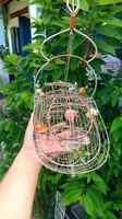 Mạnh Cường 