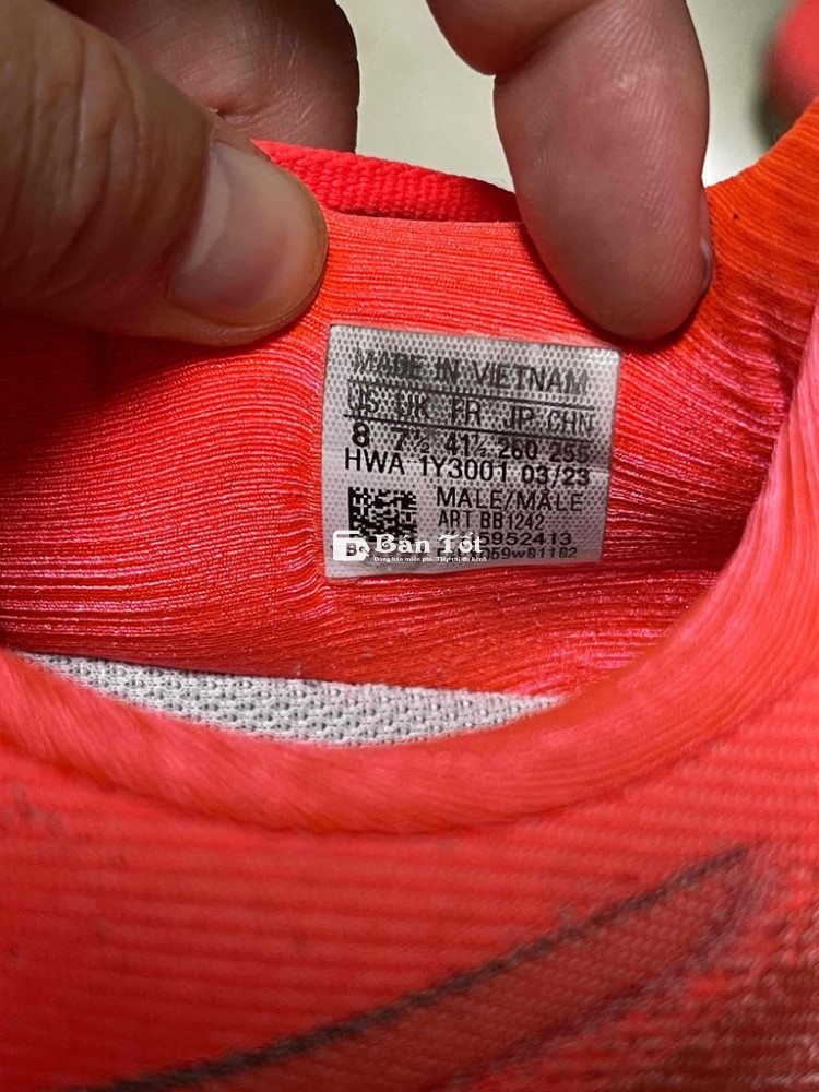 Giày Asics Chạy Bộ