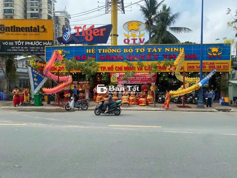 Bò Tơ Tây Ninh Năm Sánh Quyết Thắng