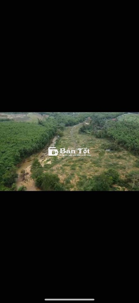 Cần Bán Đất Vườn Bám Suối Phù Hợp Nghỉ Dưỡng, Làm Farm, Trang Trại  