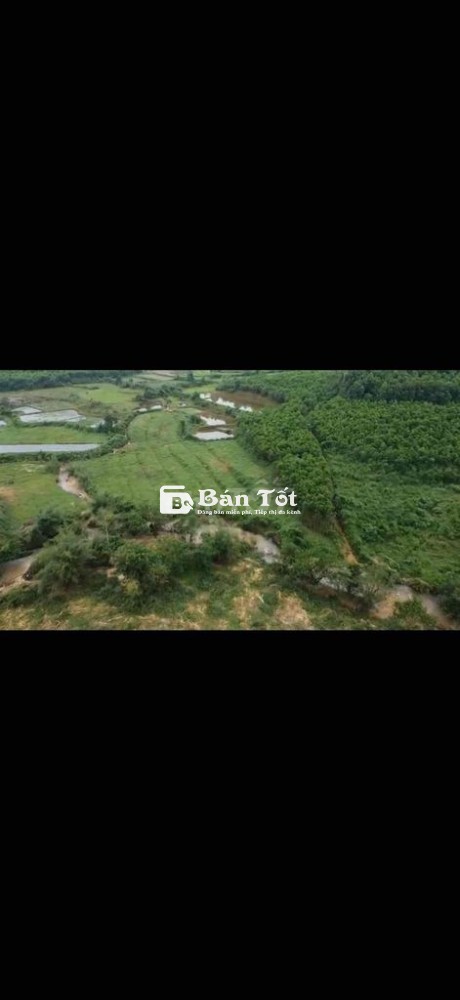 Cần Bán Đất Vườn Bám Suối Phù Hợp Nghỉ Dưỡng, Làm Farm, Trang Trại  