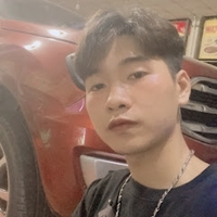 Linh trần mạnh