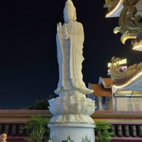 Tâm Nguyễn