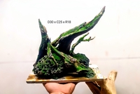 Dương Kiệt