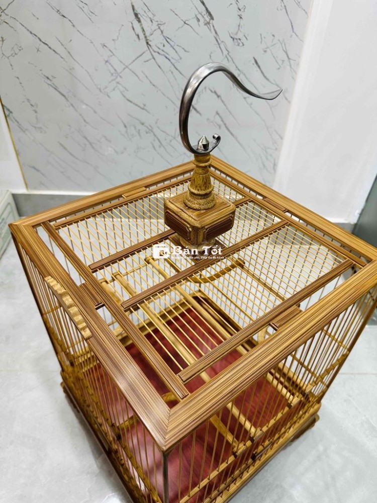 dư dùng cây vuông cao tia 36 23 nan đặt kĩ