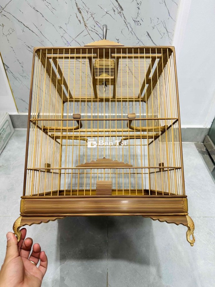dư dùng cây vuông cao tia 36 23 nan đặt kĩ