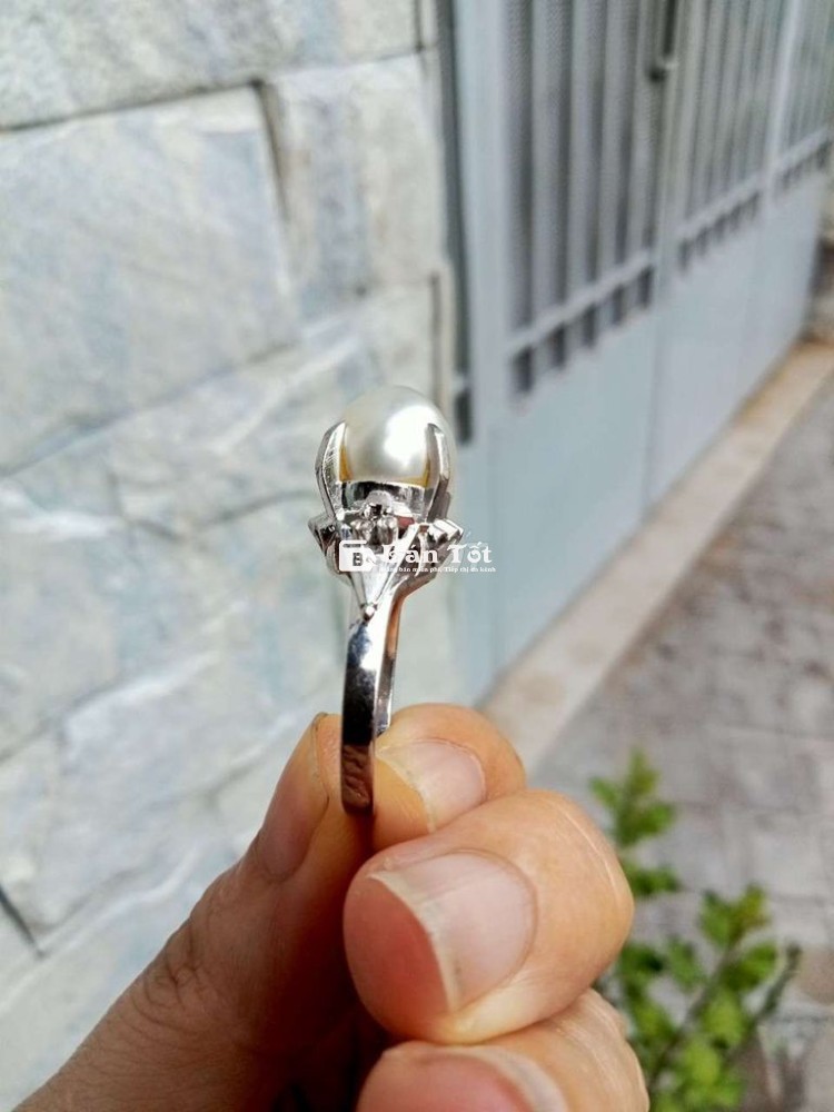 Nhẫn bạch kim Pt850, trai 10 ly hình bầu dục