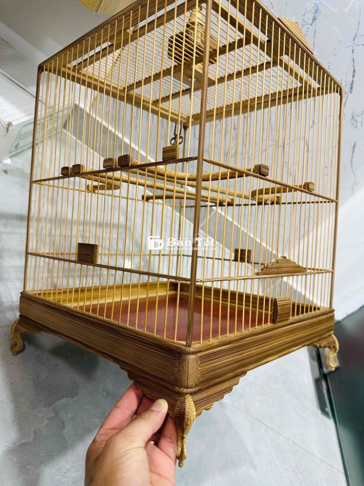 dư dùng cây vuông cao tia 36 23 nan đặt kĩ