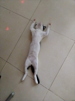 bảo tường