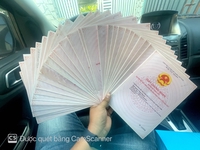 nguyên xe và đất