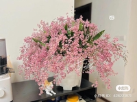 immortalflower2903